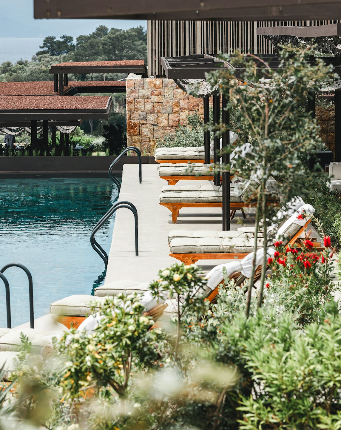 Sillas de salón junto a una piscina de resort rodeada de vegetación.