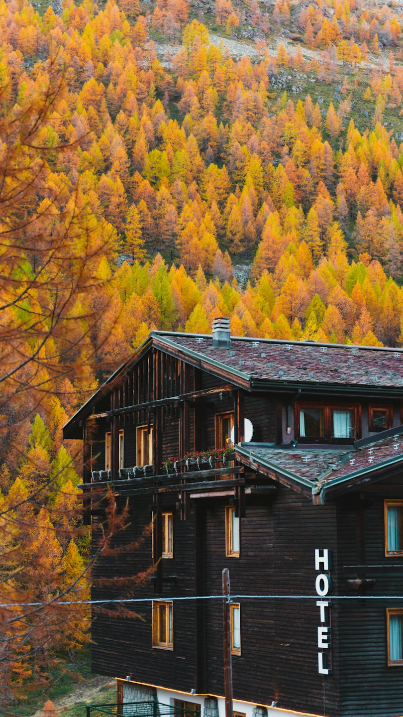 Edificio de hotel rústico de madera enclavado en una ladera con árboles de otoño.