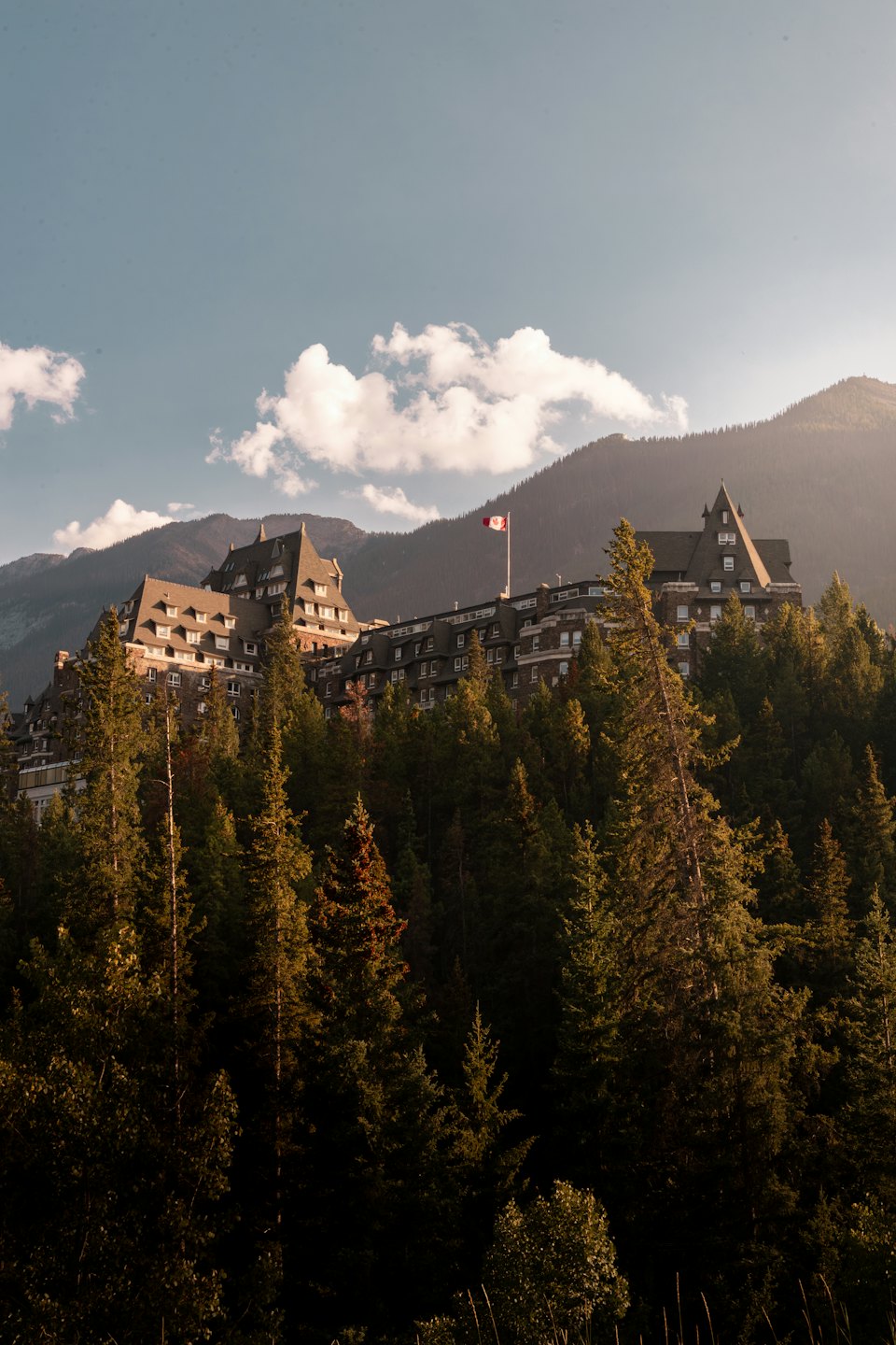 Un hotel castillo de piedra se encuentra enclavado en un bosque de pinos.